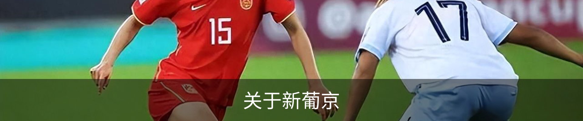 关于新葡京